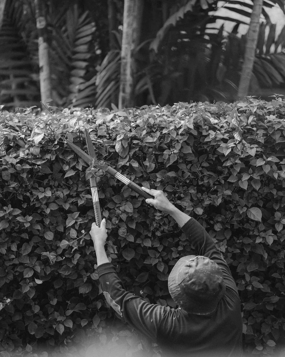 Grounds & landscaping work — Queensland Tenders